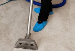 Carpet Cleaning Palmers Green