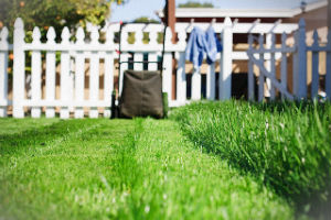 grass-cutting-services-palmers-green