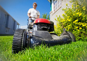 grass-cutting-palmers-green